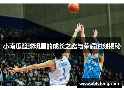 小南瓜篮球明星的成长之路与荣耀时刻揭秘