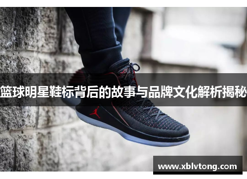 篮球明星鞋标背后的故事与品牌文化解析揭秘